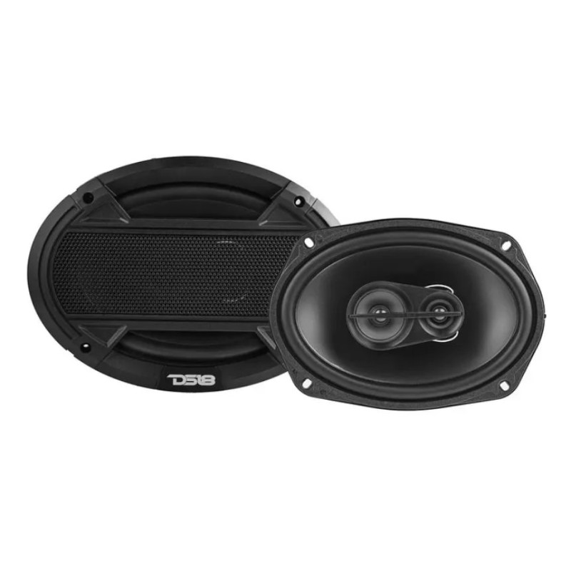 Parlante Ds18 S69 6x9 Pulgadas 80wrsm 4 Ohms